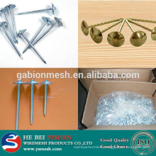 China galvanized Umbrella head roofing nail smooth